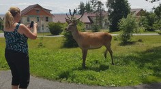 Uvažujete nad klimatizáciou? Pozrite si, koľko by vás stála jej prevádzka