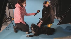 Koncerty vymenil za domácich miláčikov. Fotograf Adam sa snaží v portrétoch zachytiť psiu dušu