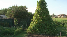 Rozprávková záhrada vášnivého pestovateľa zo Spiša