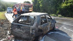 Kuriózna dopravná nehoda pri Starej Turej: Toto všetko spôsobila včela