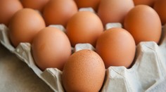 Ďalší škandál s poľskými potravinami! Z českého trhu možno stiahnu milióny vajec