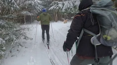 Bežkári majú dôvod na radosť, podmienky patria k najlepším za roky. Poradíme vám, ako začať