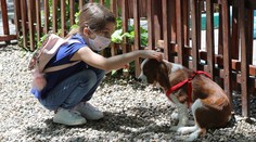 Vedci zisťujú, či môžu psy reagovať na infikovaných s koronavírusom