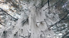 Čaká nás nezvyčajne tuhá zima? Počasie na severnej pologuli dramaticky ovplyvní anomália
