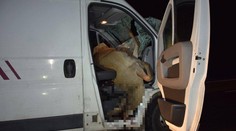 Keby sedel v dodávke spolujazdec, nehoda by sa zrejme skončila tragicky