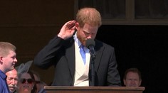 Ten moment, keď princa Harryho uštipne počas príhovoru včela. Jeho reakcia vás dostane