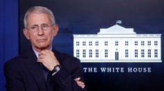 Američania by si už nikdy nemali podávať ruky, hovorí Trumpov poradca