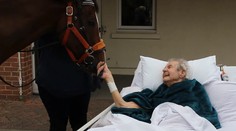 Dedkovi splnili jediné želanie. Radostný príbeh má však smutný koniec