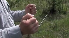 Ako fungujú prútikári? Vyjadril sa odborník