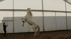 Majú prácu snov: Pozrite si príbeh manželského páru, ktorý sa rozhodol pre život filmových kaskadérov