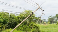 Sever Maďarska pustošil silný vietor. Vyvracal stromy a ľudia zostali bez elektriny