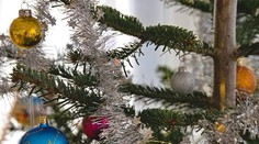 FOTO a VIDEO: V Česku rozsvietia netradičný vianočný stromček. Podobný vo svete asi nenájdete