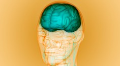 Ako súvisí Parkinsonova a Alzheimerova choroba s rodným jazykom? To zisťujú vedci