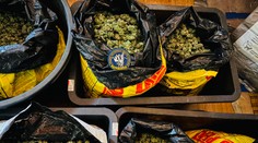 FOTO: Veľká policajná akcia Kvetinár: V centre Pezinka objavili obrovské drogové laboratórium