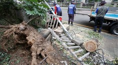 Silný tajfún sa prehnal Južnou Kóreou, zranil 26 ľudí