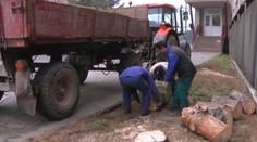 Drevo pre trebišovských Rómov zadarmo. Zistili sme, ako to je