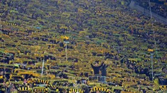 Dortmund zdolal Mainz. Zápas poznačila tragédia