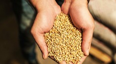 Ďalší slovenský výrobok sa dostal medzi chránené produkty