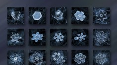 Uhádnete, čo je na obrázku?