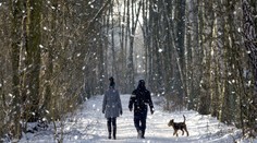 Sneží, fúka a je vonku zima? Ideálny čas na vašu zdravotnú prechádzku