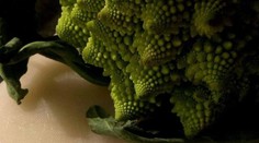 V bratislavskom supermarkete si kúpil rímsky karfiol, doma mu z neho vybehol škorpión