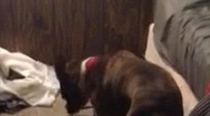 Muž každé ráno zaspával do práce. Príčina vás pobaví