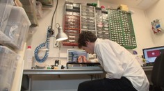 Slovenský pracovný trh čelí novej výzve. Nastúpila generácia Y