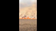 VIDEO: Požiar na západe Slovenska, horelo niekoľko hektárov