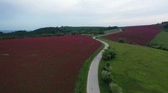 Raj pre fotografov i romantikov: O toto miesto na Slovensku do koronakrízy nikto ani nezavadil