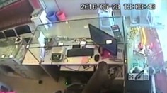 Opica vykradla klenotníctvo. Všetko je to na VIDEU