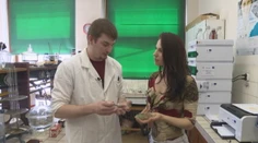Veľká analýza vrecúškových čajov. Budete prekvapení, čo obsahujú