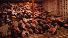 Z tohto pohľadu pichá pri srdci. Pytliaci zabíjali hlava nehlava