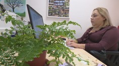 Ak prejde konsolidačný balík, s prácou bude musieť prestať. Invalidná dôchodkyňa Natália by nezarobila ani na odvody