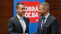 Spolupráci Dobrej voľby s Hlasom dal snem zelenú