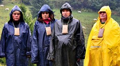 Toto sme tu ešte nemali! Nepoškvrnené počatie na Farme?