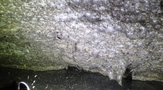 Fascinujúci objav vedcov: Hlboko v tmavej jaskyni našli pavúčie megamesto s najväčšou pavučinou sveta