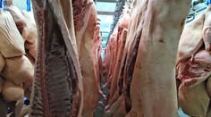 Slintačka vyvolala paniku. Ľudia si pred Veľkou nocou začali tvoriť zásoby mäsa