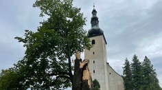 Najkrajší strom Veľkej Fatry - 460-ročnú lipu - zničila víchrica