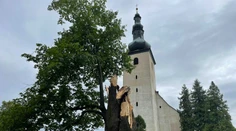 Najkrajší strom Veľkej Fatry - 460-ročnú lipu - zničila víchrica