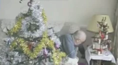 Krásna tradícia: Rodina ozdobuje ten istý stromček 84-krát