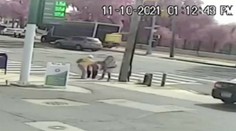 Kamera zachytila desivý moment. Bezdomovec vytrhol starej mame z rúk trojročné dievčatko