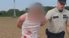 Vinník dopravnej nehody už osem mesiacov pobehuje po slobode