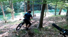 Najnovší zážitok so zúrivou medvedicou. Pri Martine vybehla na dvoch bikerov. Dramatické video zaznamenali na GoPro kamere