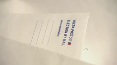 V prezidentských voľbách už mali voliť aj Slováci zo zahraničia. Táto možnosť je nateraz ohrozená
