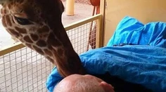 Zvieratá sa lúčia s umierajúcim mužom, ktorý sa o nich roky staral v ZOO