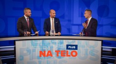 Na telo plus: OĽaNO nie je potrebné rozkladať tajnými agentmi, rozpadne sa samo, tvrdí Pellegrini