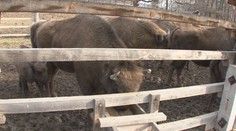 Jedinečnú atrakciu opäť otvorili. Turisti však musia dodržiavať prísne bezpečnostné opatrenia