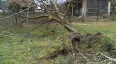 V Maďarsku víchrica rúcala komíny a trhala elektrické vedenie