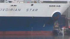 Zaoceánska loď nabrala počas plavby veľrybu. Mŕtve zviera priviezla až do prístavu