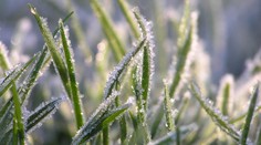 Na strednom a východnom Slovensku sa ráno vyskytne prízemný mráz
